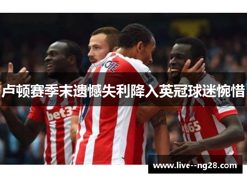 卢顿赛季末遗憾失利降入英冠球迷惋惜