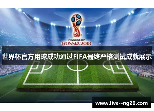 世界杯官方用球成功通过FIFA最终严格测试成就展示